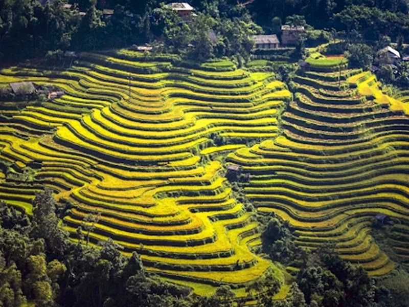 ​Ha Giang Group Tours 3 Days 2 Nights (Departure on Friday Only)