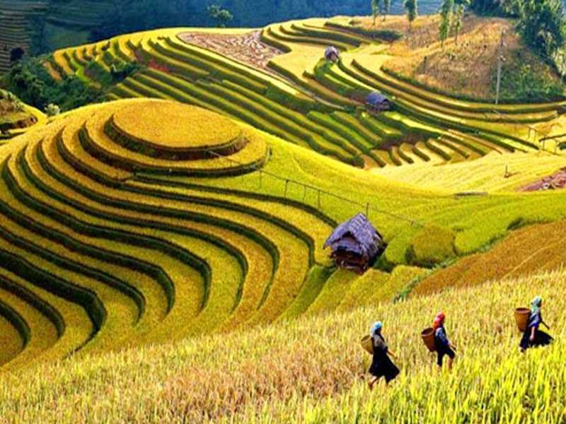 Ha Giang Tours 2 Days 1 Night (Night Bus - Group Tour)